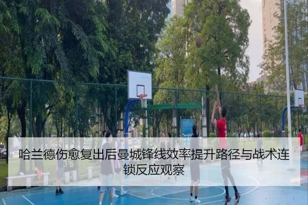 ha-lan-de-shang-yu-fu-chu-hou-man-cheng-feng-xian-xiao-lv-ti-sheng-lu-jing-yu-zhan-shu-lian-suo-fan-ying-guan-cha-2-568.jpg