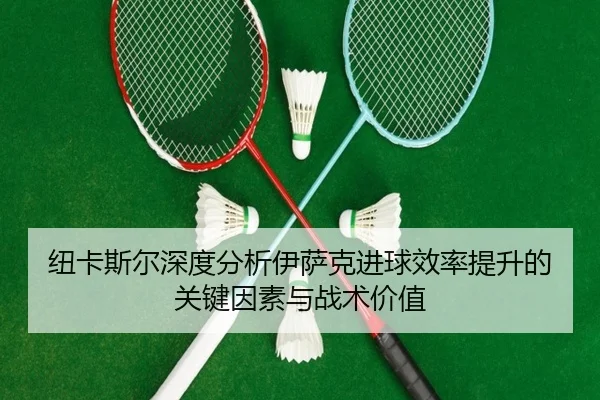 纽卡斯尔深度分析伊萨克进球效率提升的关键因素与战术价值